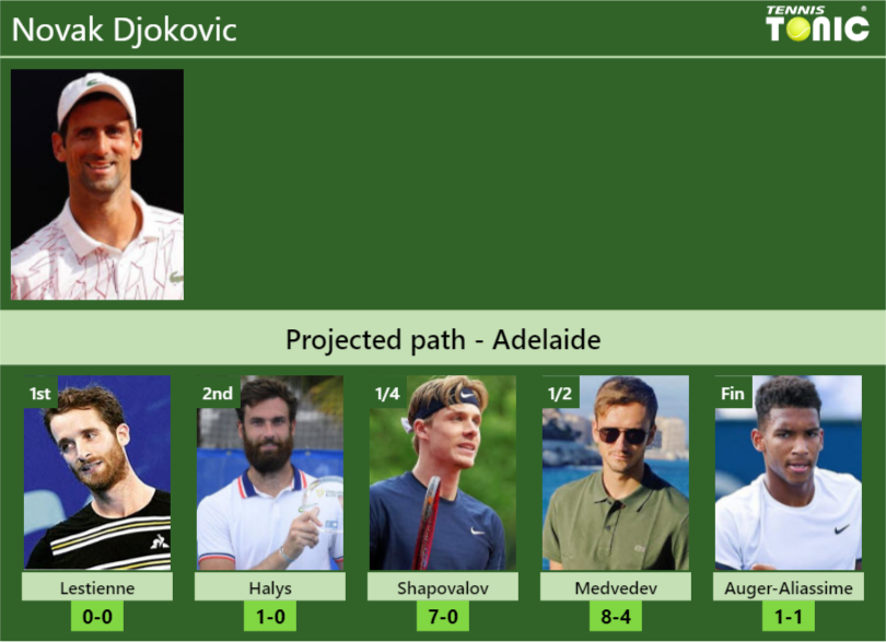 Novak Djokovic Stats info
