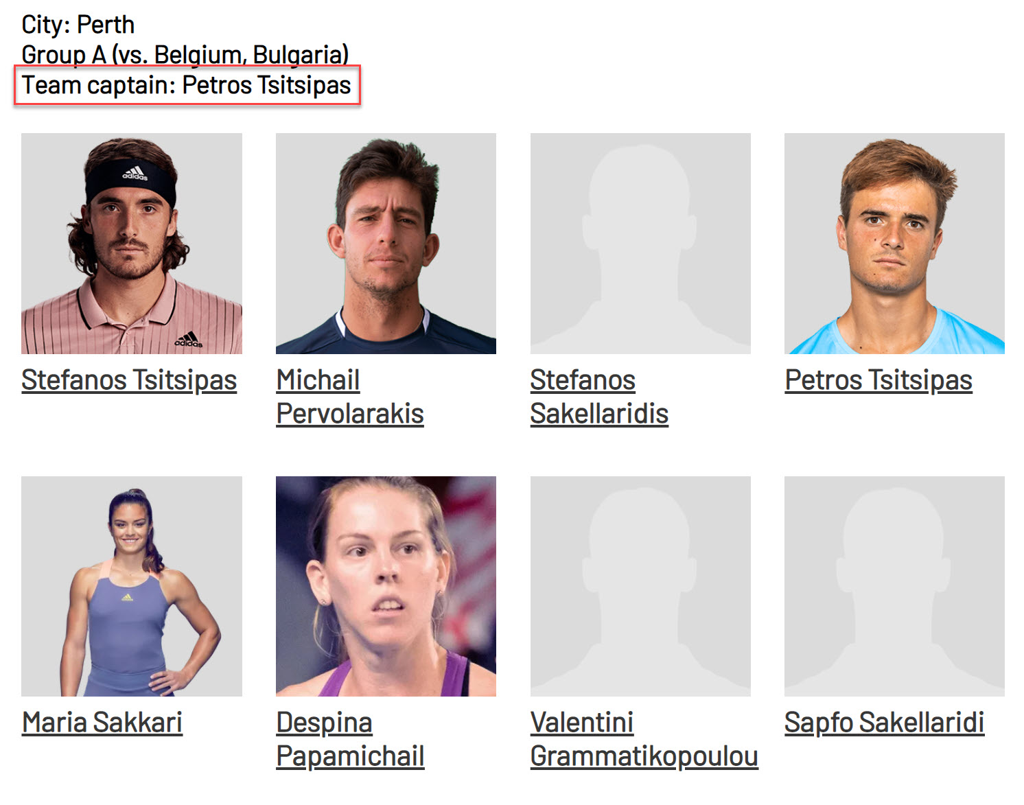 Petros Tsitsipas The Captain Of Team Greece