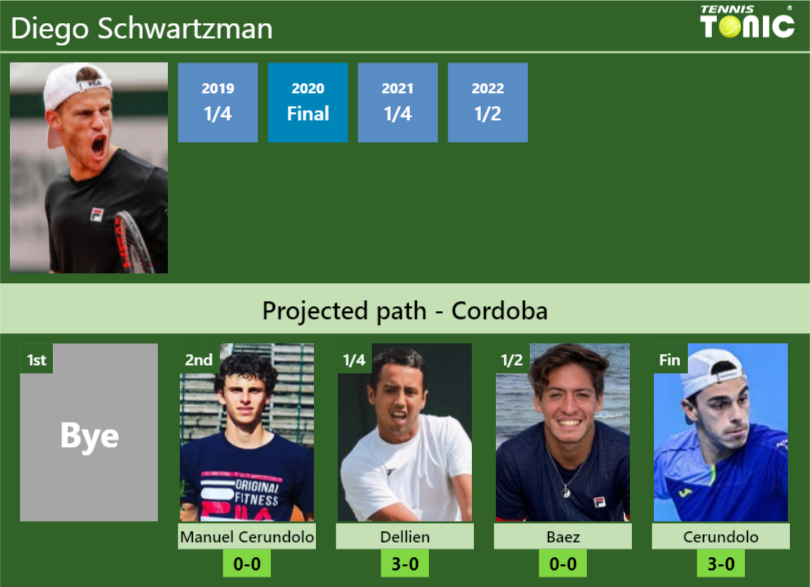 Diego Schwartzman Stats info