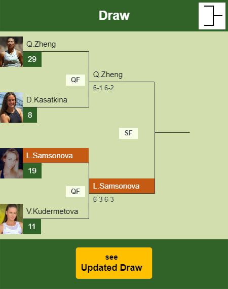 Liudmila Samsonova Draw info