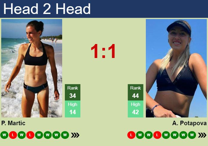 Prediction and head to head Petra Martic vs. Anastasia Potapova