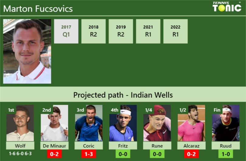 Marton Fucsovics Stats info