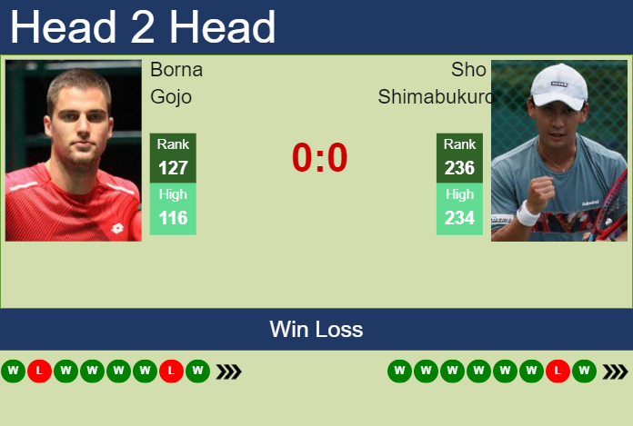 Prediction and head to head Borna Gojo vs. Sho Shimabukuro