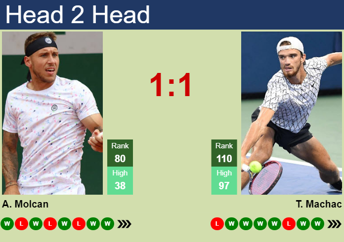 Prediction and head to head Alex Molcan vs. Tomas Machac
