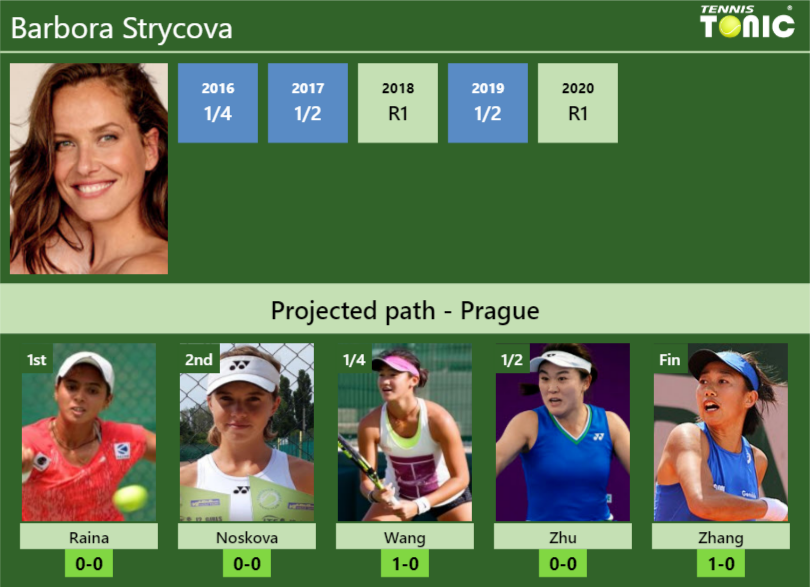 Barbora Strycova Stats info