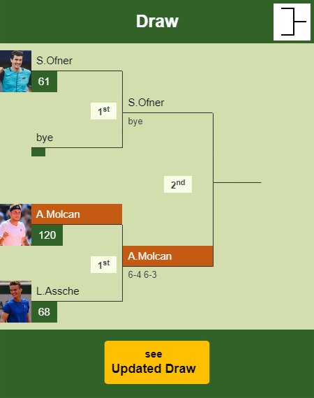 Alex Molcan Draw info