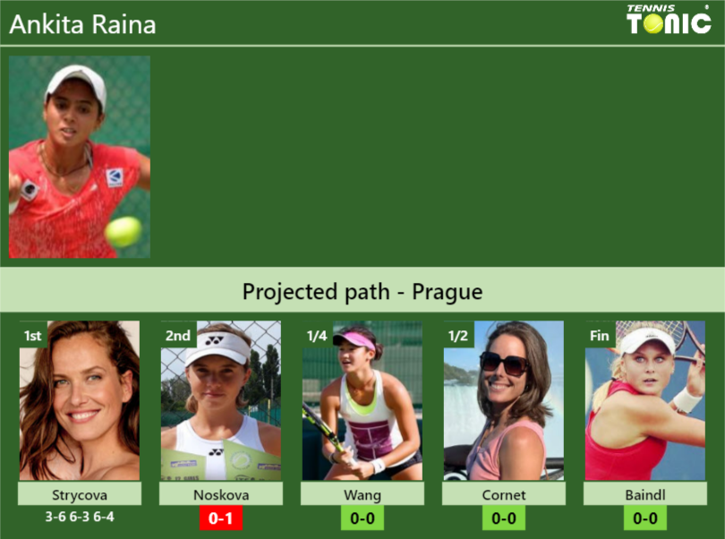 Ankita Raina Stats info