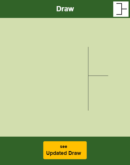 Anna Schmiedlova Draw info