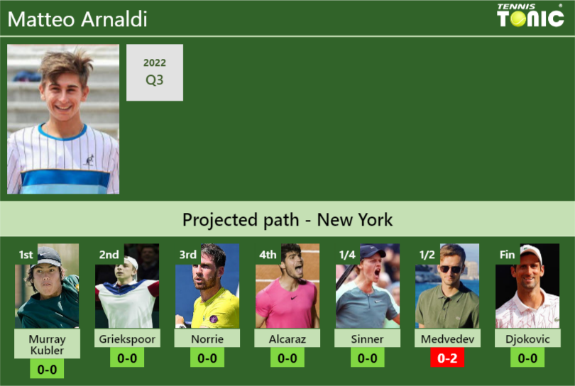 Matteo Arnaldi Stats info