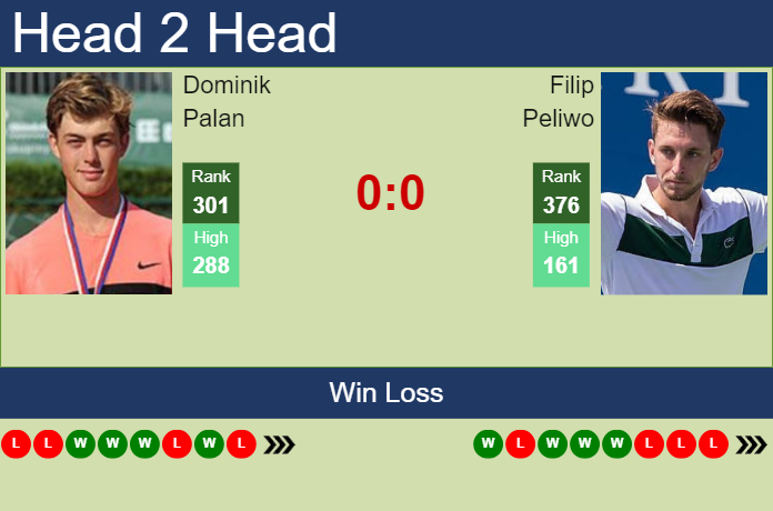 Prediction and head to head Dominik Palan vs. Filip Peliwo