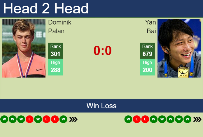 Prediction and head to head Dominik Palan vs. Yan Bai