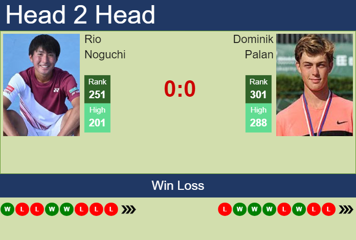 H2H, prediction of Rio Noguchi vs Dominik Palan in Shanghai Challenger with odds, preview, pick | 5th September 2023