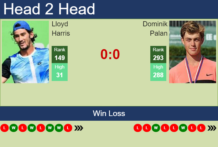 Prediction and head to head Lloyd Harris vs. Dominik Palan