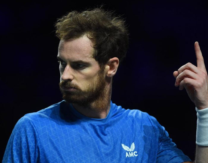 Andy Murray will not play the Davis Cup final due to an injury