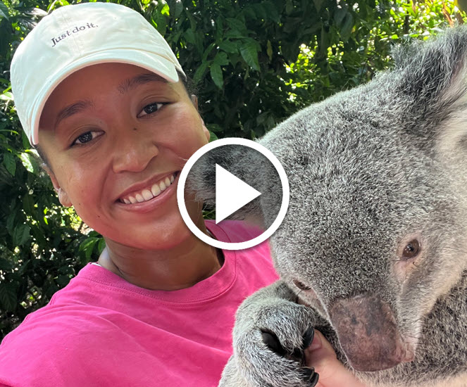 Naomi Osaka Koala