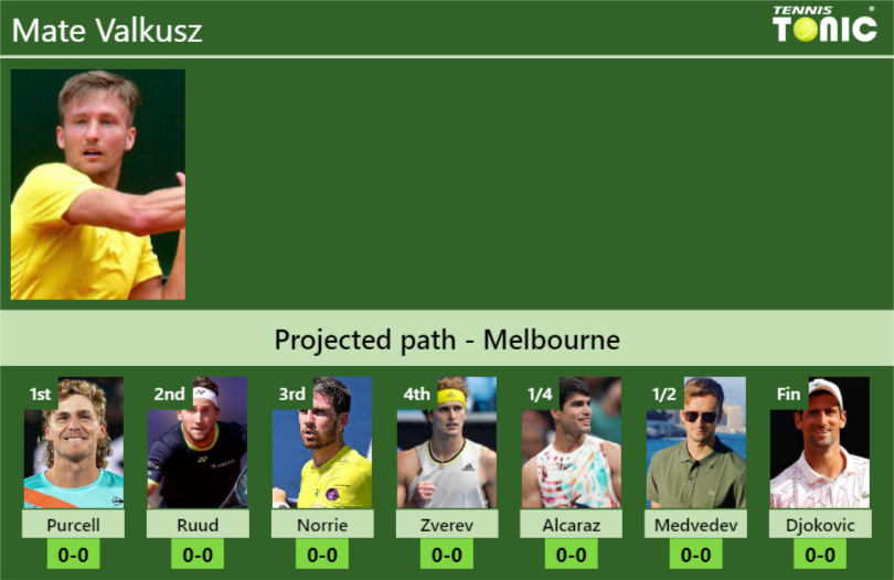 Mate Valkusz Stats info