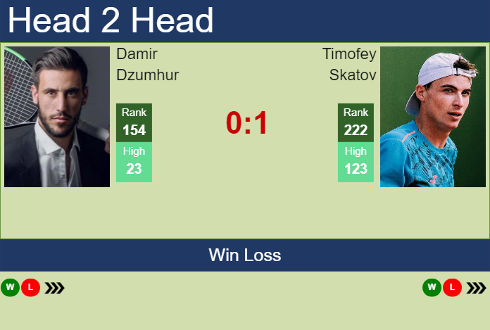 H2H, prediction of Damir Dzumhur vs Timofey Skatov at the Australian Open with odds, preview, pick | 8th January 2024