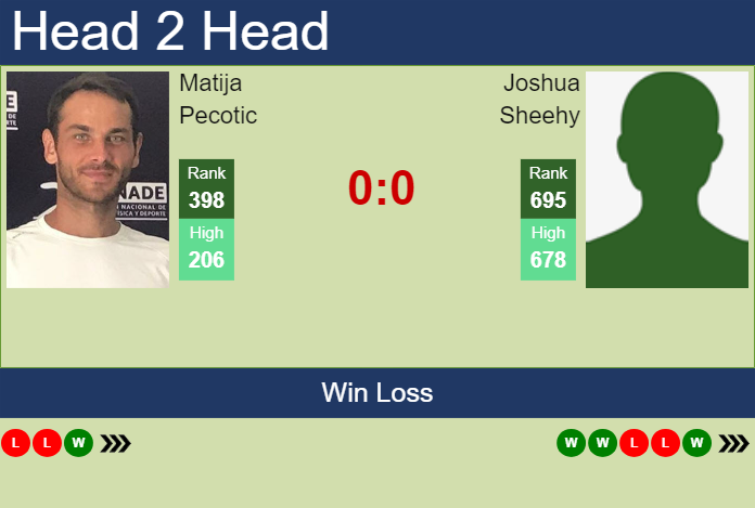 H2H, prediction of Matija Pecotic vs Joshua Sheehy in Cleveland Challenger with odds, preview, pick | 29th January 2024