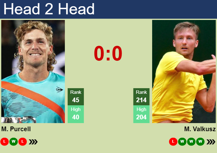 Prediction And Head To Head Max Purcell Vs. Mate Valkusz Dbygd1u4t1 Prediction and head to head Max Purcell vs. Mate Valkusz