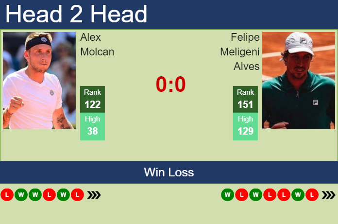 Prediction and head to head Alex Molcan vs. Felipe Meligeni Alves