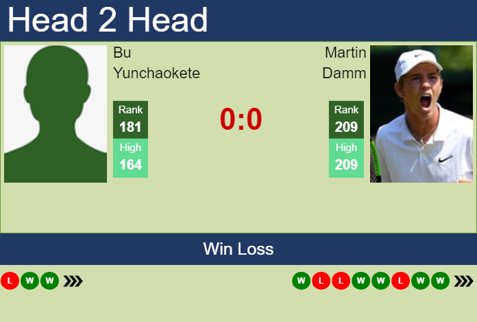 H2H, prediction of Bu Yunchaokete vs Martin Damm in Tenerife 3 Challenger with odds, preview, pick | 1st March 2024