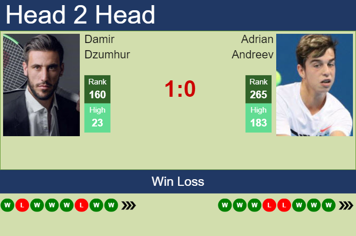H2H, prediction of Damir Dzumhur vs Adrian Andreev in Manama Challenger with odds, preview, pick | 14th February 2024