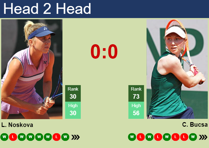 H2H, prediction of Linda Noskova vs Cristina Bucsa in Abu Dhabi with odds, preview, pick | 4th February 2024