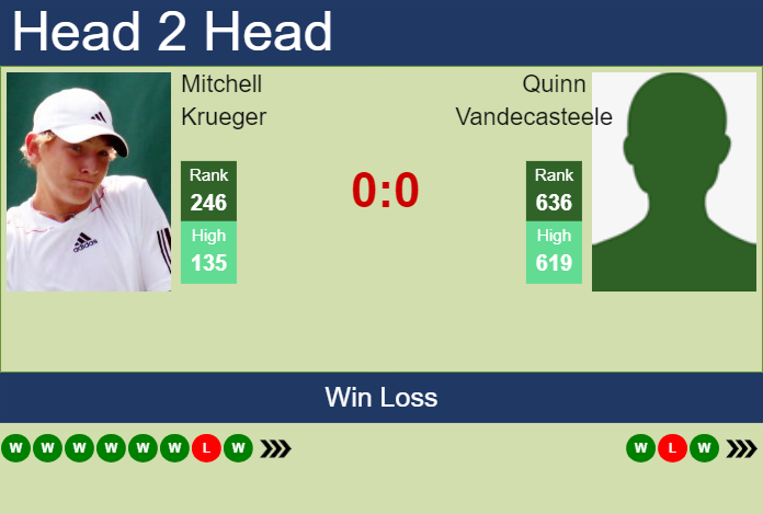 H2H, prediction of Mitchell Krueger vs Quinn Vandecasteele in Cleveland Challenger with odds, preview, pick | 1st February 2024