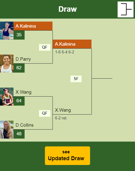 Anhelina Kalinina Draw info