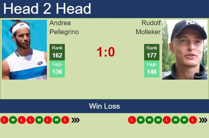 Prediction and head to head Andrea Pellegrino vs. Rudolf Molleker
