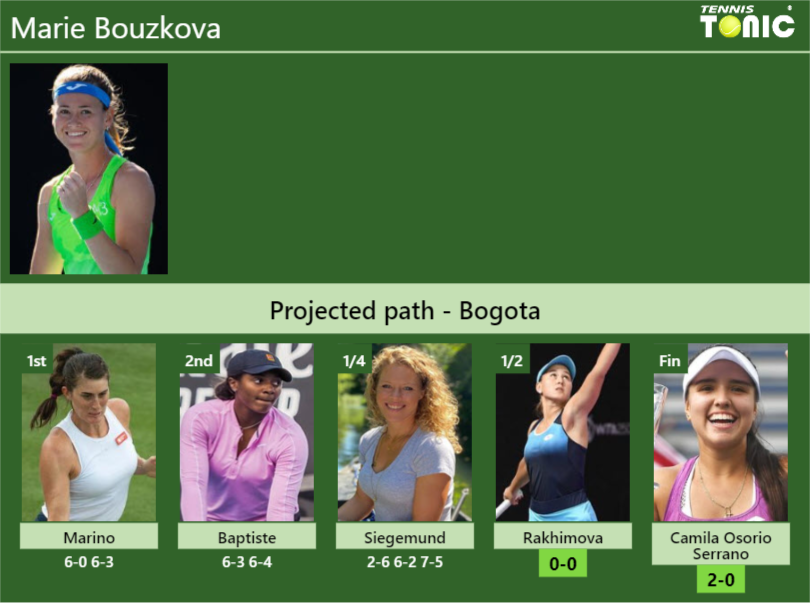 Marie Bouzkova Stats info