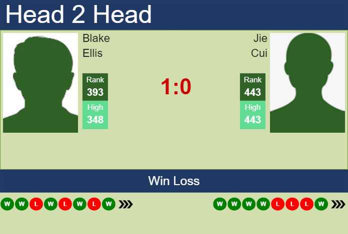 H2H, prediction of Blake Ellis vs Jie Cui in Guangzhou Challenger with odds, preview, pick | 29th April 2024