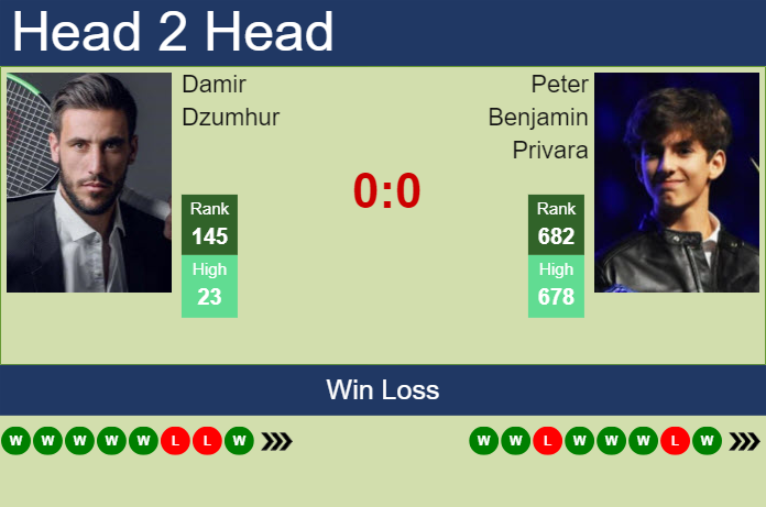 H2H, prediction of Damir Dzumhur vs Peter Benjamin Privara in Ostrava Challenger with odds, preview, pick | 25th April 2024