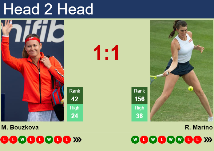 H2H, prediction of Marie Bouzkova vs Rebecca Marino in Bogota with odds, preview, pick | 2nd April 2024