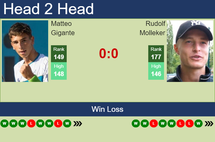H2H, prediction of Matteo Gigante vs Rudolf Molleker in Marrakech with odds, preview, pick | 1st April 2024