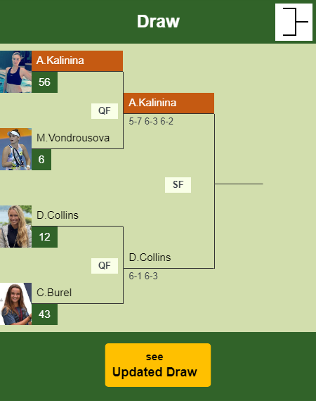 Anhelina Kalinina Draw info