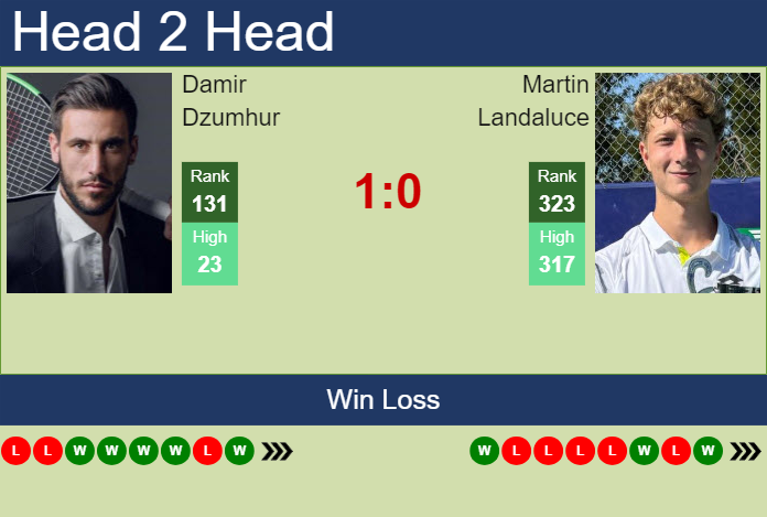 H2H, prediction of Damir Dzumhur vs Martin Landaluce in Tunis Challenger with odds, preview, pick | 15th May 2024