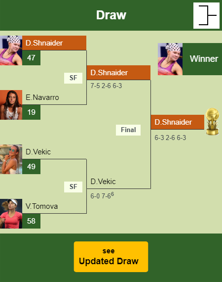 Diana Shnaider Draw info