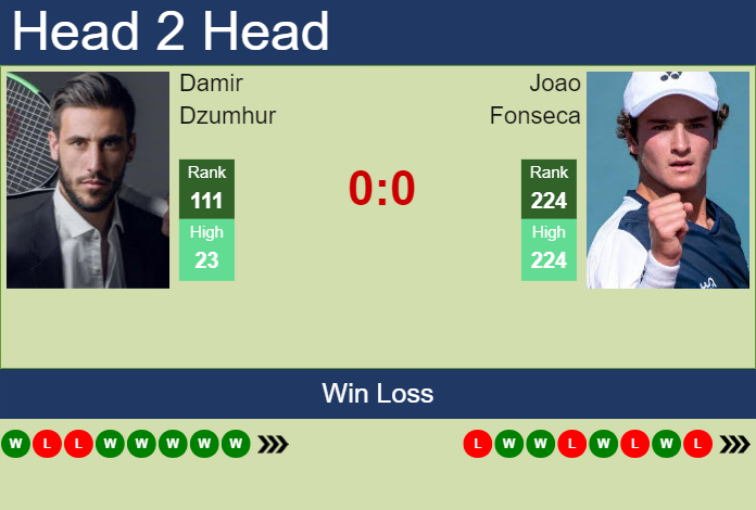Prediction and head to head Damir Dzumhur vs. Joao Fonseca