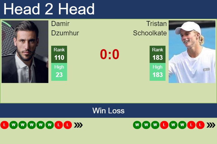 Prediction and head to head Damir Dzumhur vs. Tristan Schoolkate