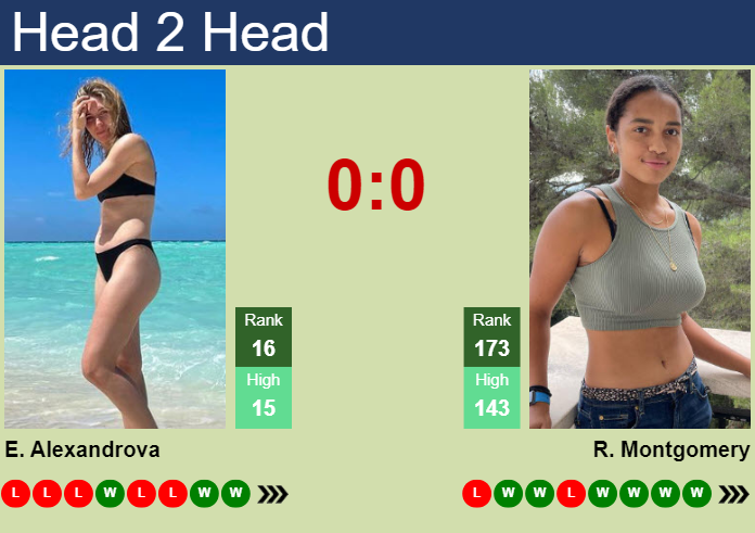 H2H, prediction of Ekaterina Alexandrova vs Robin Montgomery in Hertogenbosch with odds, preview, pick | 14th June 2024