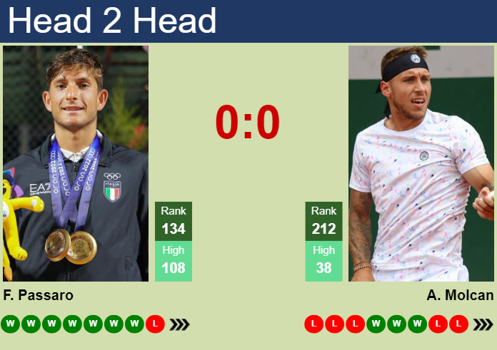 H2H, prediction of Francesco Passaro vs Alex Molcan in Prostejov Challenger with odds, preview, pick | 4th June 2024