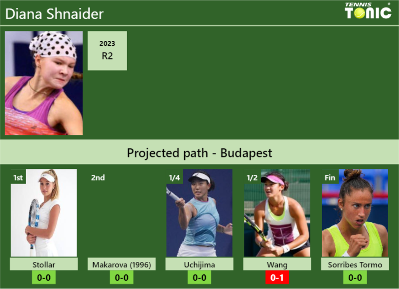 Diana Shnaider Stats info