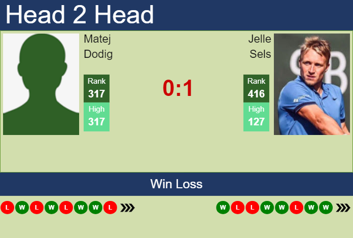 H2H, prediction of Matej Dodig vs Jelle Sels in Brasov Challenger with odds, preview, pick | 2nd July 2024