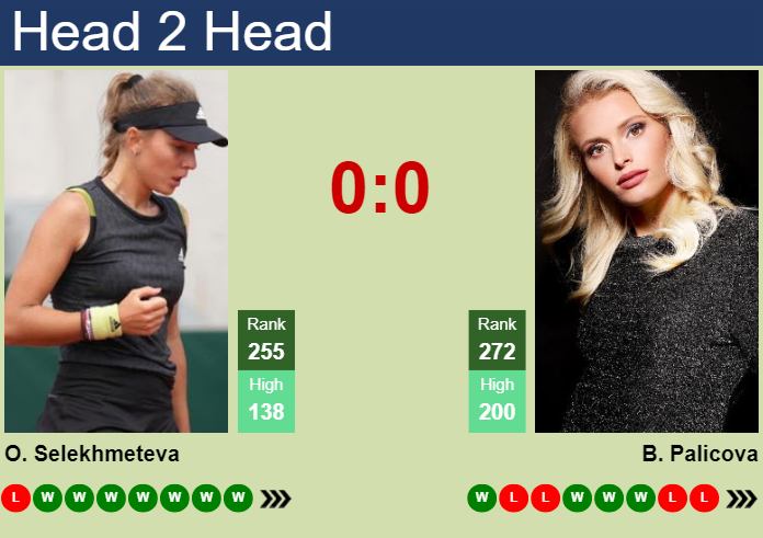 H2H, prediction of Oksana Selekhmeteva vs Barbora Palicova in Prague with odds, preview, pick | 22nd July 2024