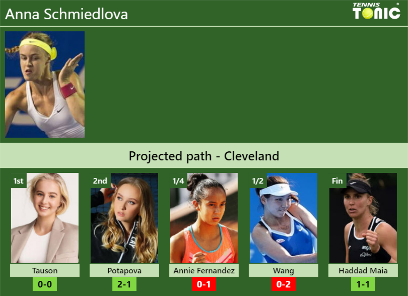 Anna Schmiedlova Stats info