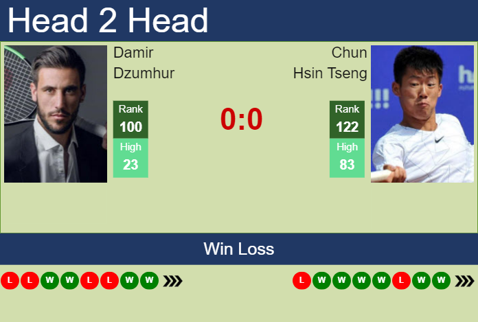 H2H, prediction of Damir Dzumhur vs Chun Hsin Tseng in Santo Domingo Challenger with odds, preview, pick | 15th August 2024