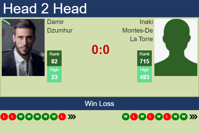 H2H, prediction of Damir Dzumhur vs Inaki Montes-De La Torre in Manacor Challenger with odds, preview, pick | 28th August 2024