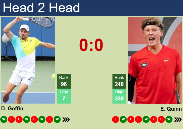 H2H, prediction of David Goffin vs Ethan Quinn in Cary Challenger with odds, preview, pick | 13th August 2024