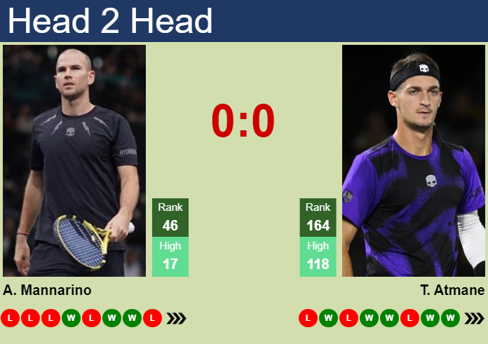 H2H, prediction of Adrian Mannarino vs Terence Atmane in Chengdu with odds, preview, pick | 19th September 2024